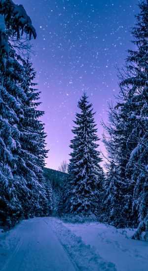 Cold Wallpaper 