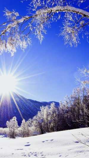 Cold Wallpaper
