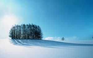 Cold Wallpaper Desktop