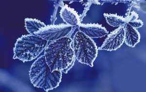 Desktop Cold Wallpaper