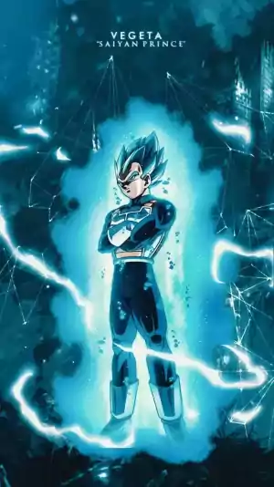 Vegeta Background