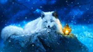 Desktop Arctic Fox Wallpaper 