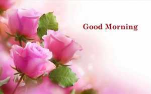 Desktop Good Morning Wallpaper 