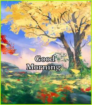 HD Good Morning Wallpaper