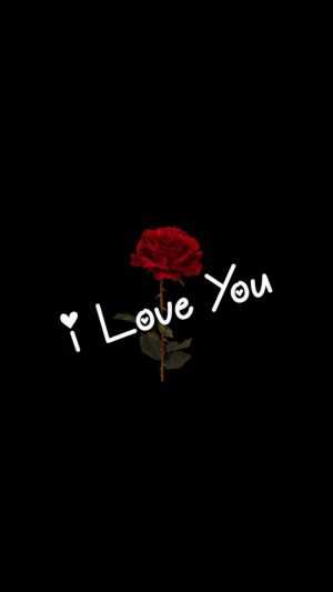 I Love You Wallpaper 