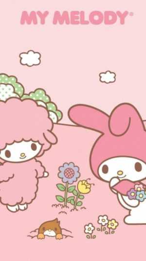 HD My Melody Wallpaper 