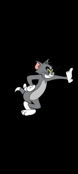 Tom And Jerry Wallpaper 
