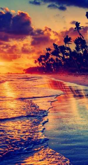 View Wallpaper 