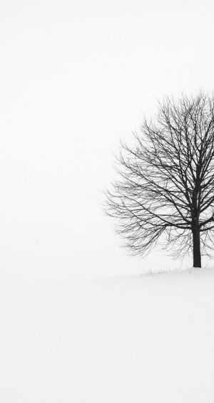 Black And White Wallpaper 