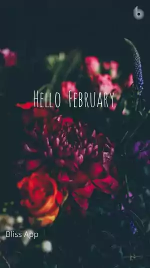 February Background 