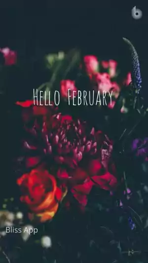 February Background