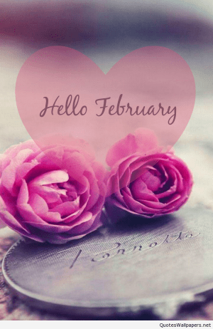 February Background 