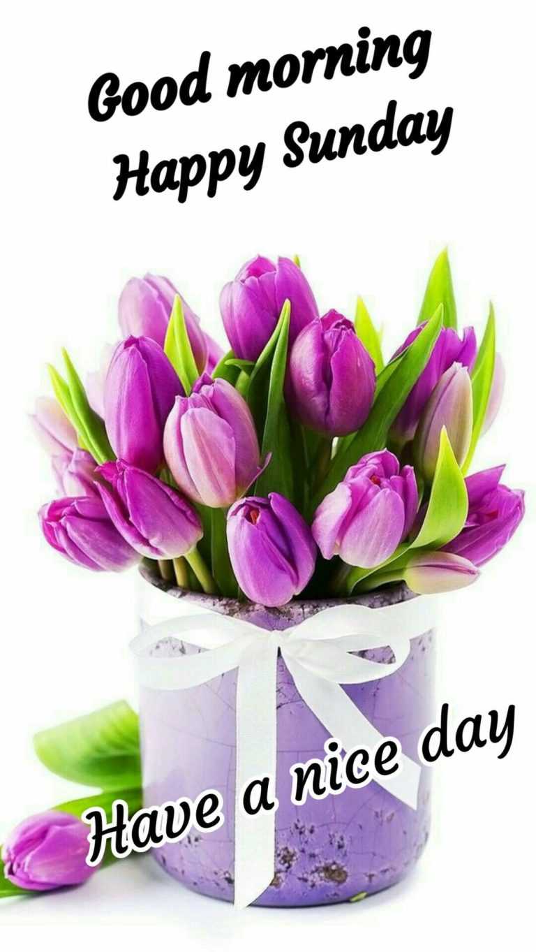 Sunday Wallpaper WhatsPaper