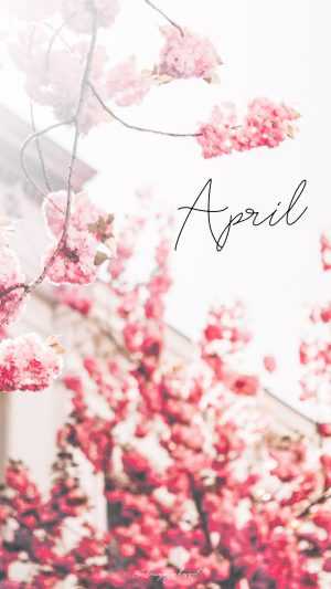 April Wallpaper