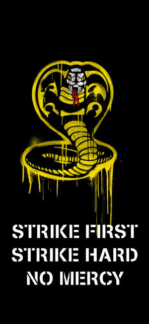 Cobra Kai Wallpaper 