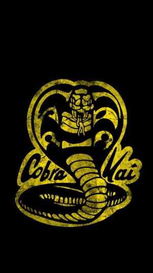 Cobra Kai Background