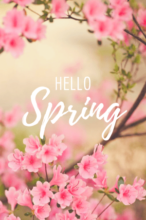 Spring Wallpaper 