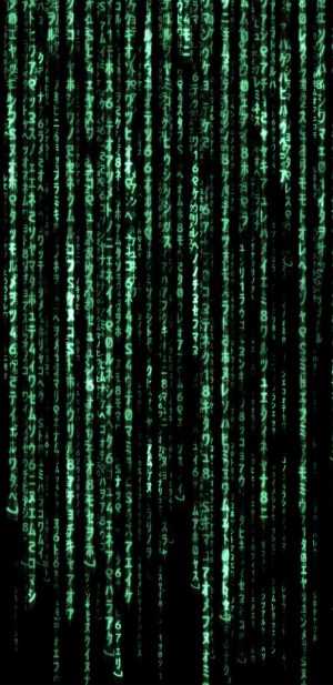 HD The Matrix Wallpaper 