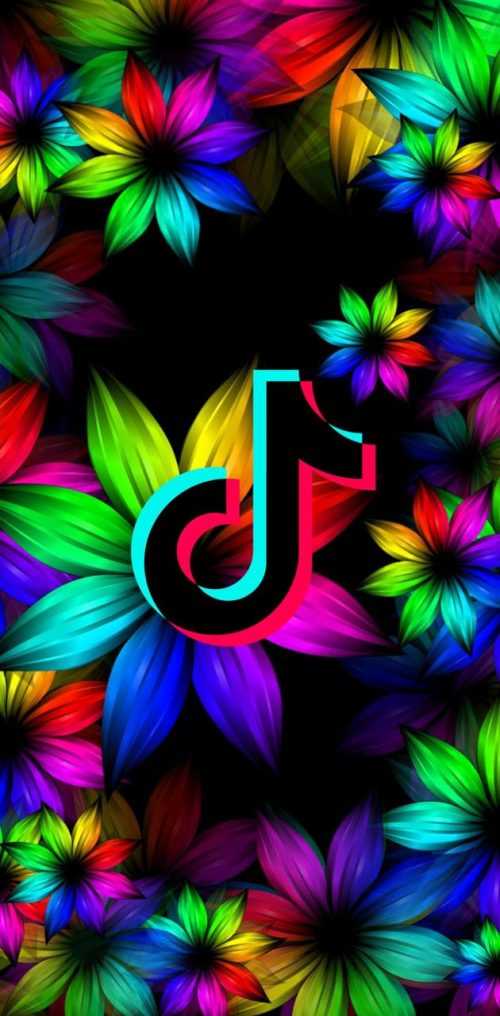 TikTok Wallpaper WhatsPaper