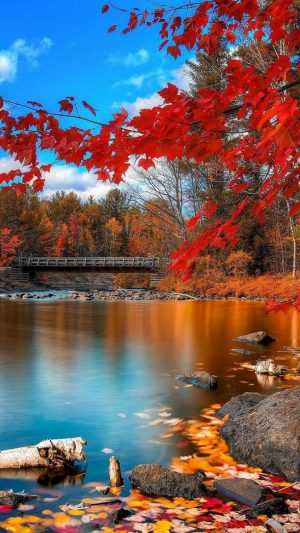 Beautiful Wallpaper