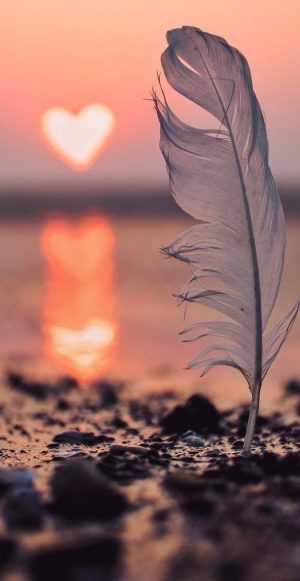 Beautiful Wallpaper