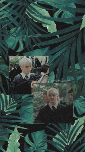 Draco Malfoy Wallpaper