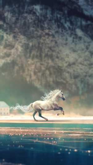 Horse Wallpaper