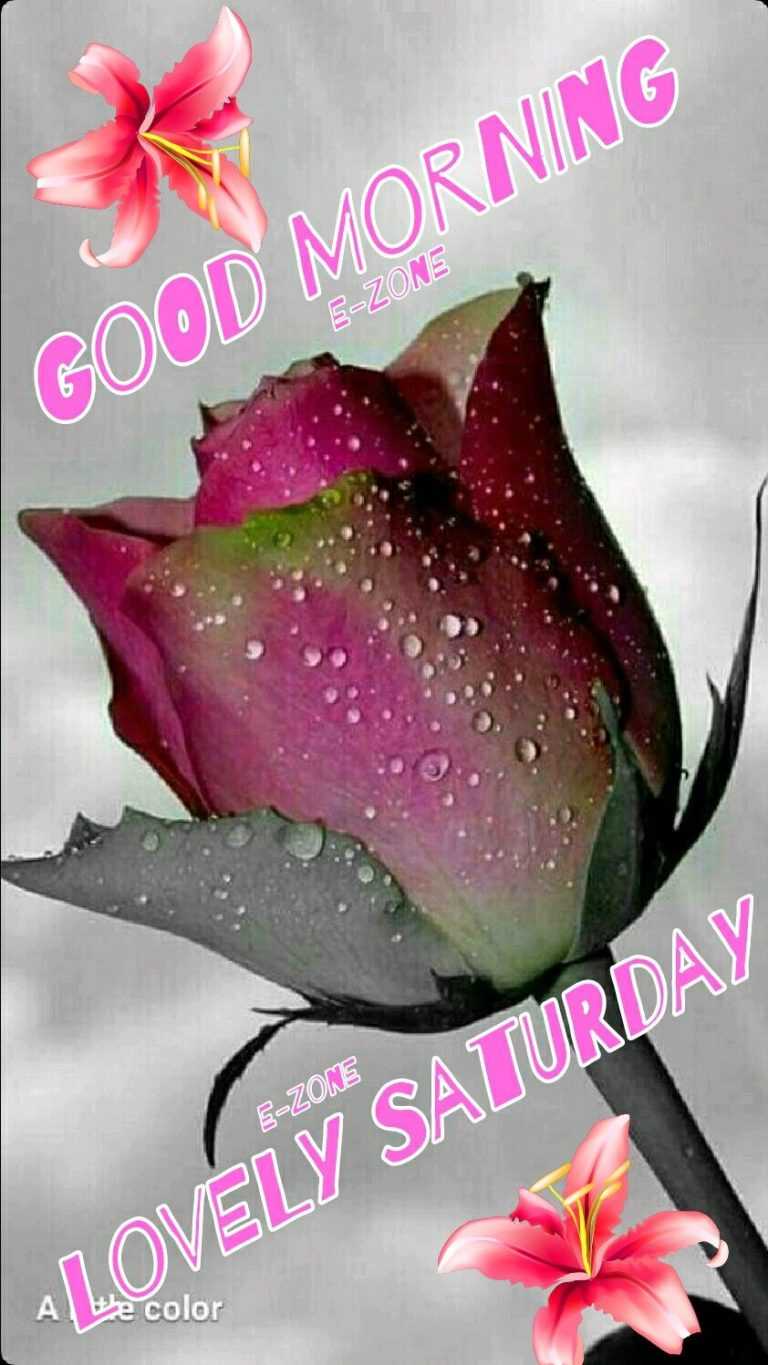 Sunday Morning Wallpaper | WhatsPaper