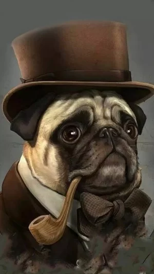 Pug Wallpaper