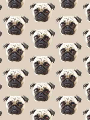 4K Pug Wallpaper