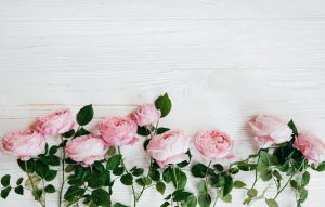 Desktop Roses Wallpaper 