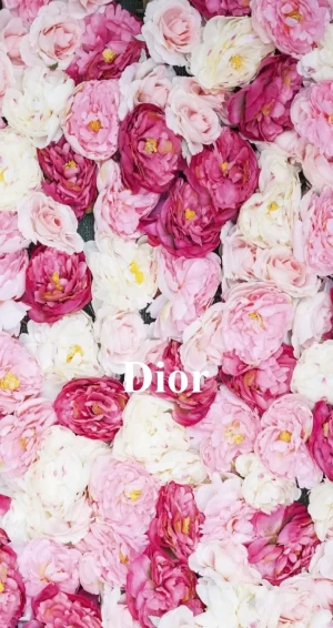 Dior Wallpaper