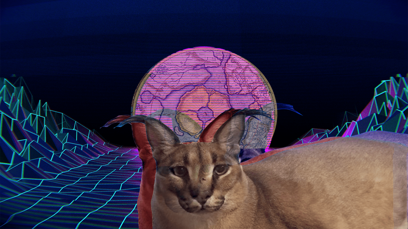 Floppa in 2022. Cat memes, Funny cat, Caracal cat, Big Floppa, HD