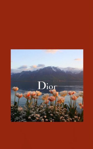 HD Dior Wallpaper
