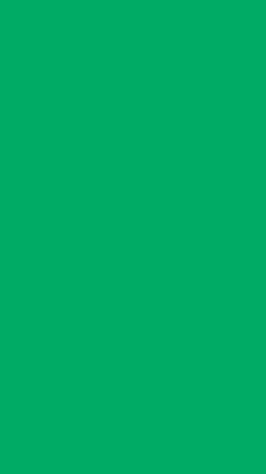 HD Green Wallpaper 