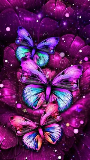 Butterflies Wallpaper 