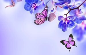 Desktop Butterflies Wallpaper