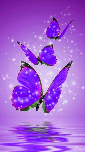 Butterflies Background 