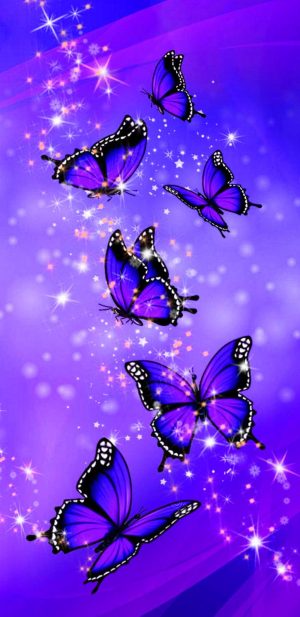 4K Butterflies Wallpaper 