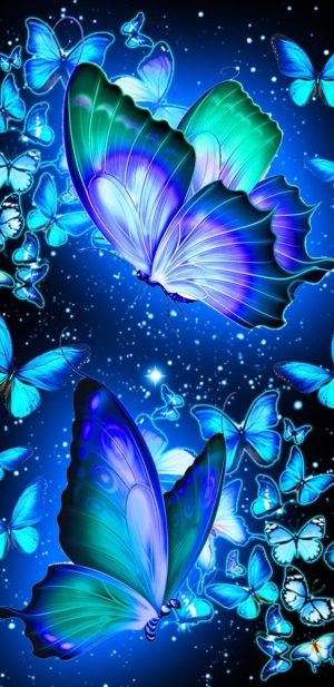 Butterflies Wallpaper