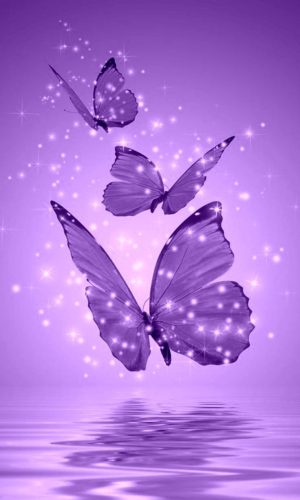 Butterflies Wallpaper 