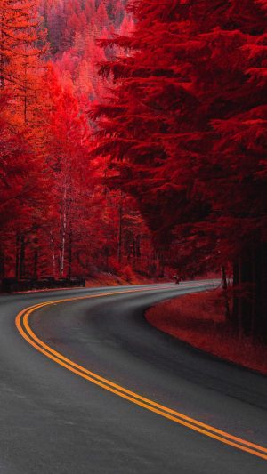 HD Red Wallpaper 