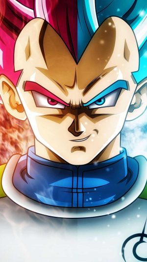 Vegeta Background 