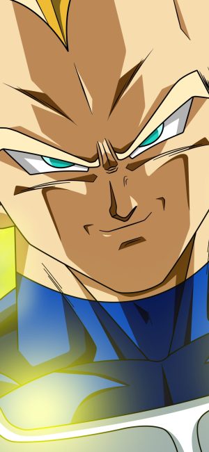 Vegeta Wallpaper