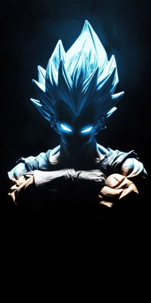 Vegeta Wallpaper 