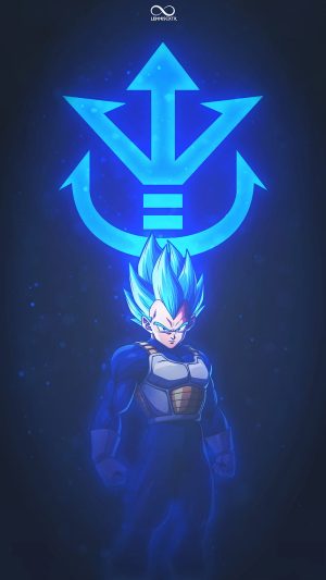 Vegeta Wallpaper 