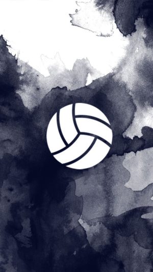 Volleyball Wallpaper