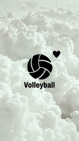 Volleyball Wallpaper