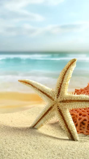 Summer Wallpaper