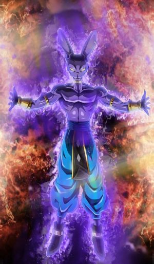 Beerus Wallpaper